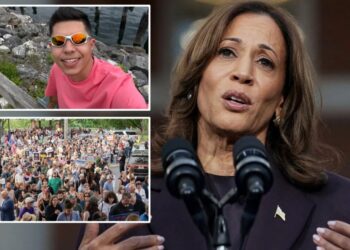 Kamala Harris slams ICE agents for fatally shooting ‘illegal alien’ who allegedly tried to run them over