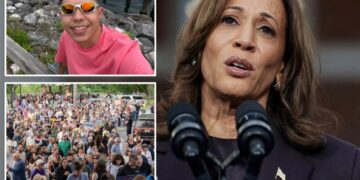 Kamala Harris slams ICE agents for fatally shooting ‘illegal alien’ who allegedly tried to run them over