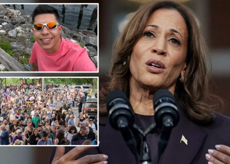 Kamala Harris slams ICE agents for fatally shooting ‘illegal alien’ who allegedly tried to run them over