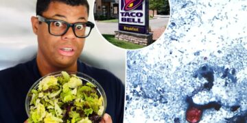 Is lettuce still safe to eat amid Taco Bell illness probe? Doctors answer