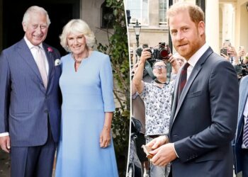 Queen Camilla’s role in Prince Harry and King Charles’ reunion revealed — years after Harry dubbed her a ‘villain’