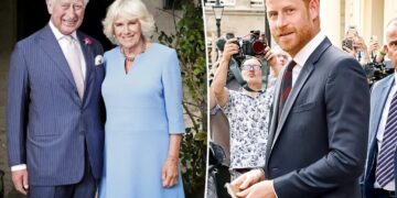Queen Camilla’s role in Prince Harry and King Charles’ reunion revealed — years after Harry dubbed her a ‘villain’