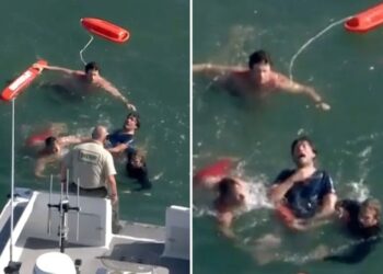 Slippery suspect escapes into ocean while fleeing police during wild LA chase