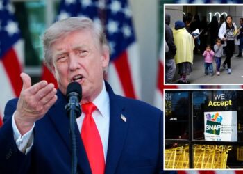 Trump admin revives rule that could deny green cards to immigrants who use public benefits