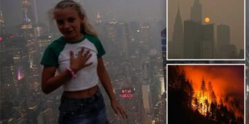 The serious health risks posed by wildfire smoke