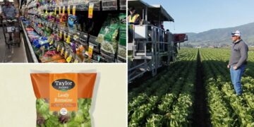 Taylor Farms releases full recall list after ‘explosive diarrhea’ cyclosporiasis outbreak