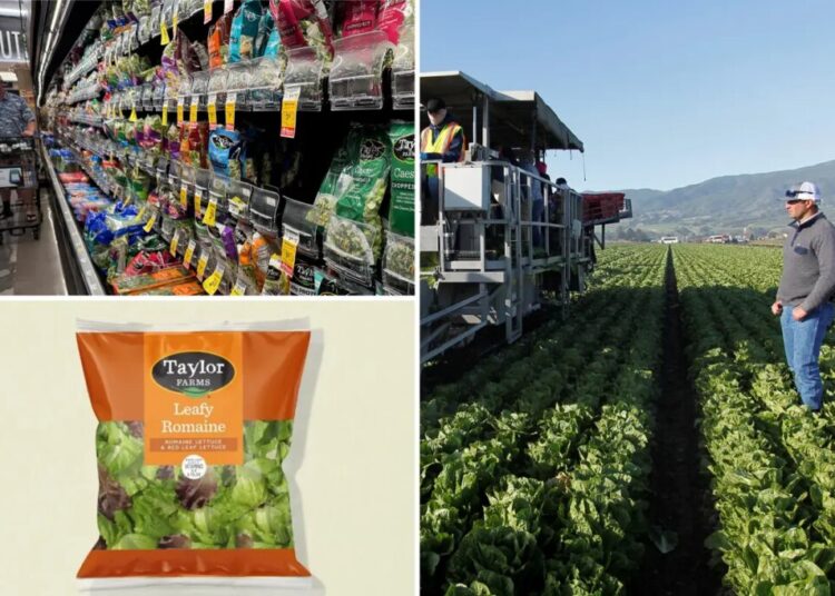 Taylor Farms releases full recall list after ‘explosive diarrhea’ cyclosporiasis outbreak