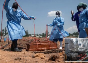 Over 900 people dead in Congo’s Ebola outbreak