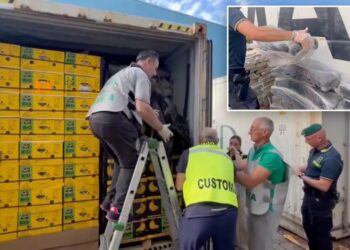 $290M cocaine haul found ‘skillfully concealed’ in massive banana shipment