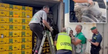 $290M cocaine haul found ‘skillfully concealed’ in massive banana shipment