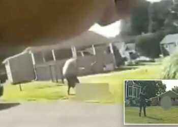 Horrifying bodycam footage shows Connecticut son beating dad to death with baseball bat outside home before cops shoot him