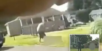 Horrifying bodycam footage shows Connecticut son beating dad to death with baseball bat outside home before cops shoot him