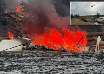 Plane with 11 on board bursts into flames after crash-landing off Washington island