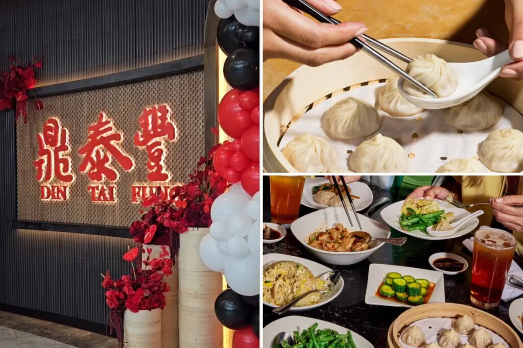 Popular upscale Asian restaurant known for its dumplings to open inside OC mall