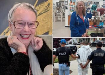 Family of grandma killed in senseless stabbing outside mall reveal heartbreaking new details