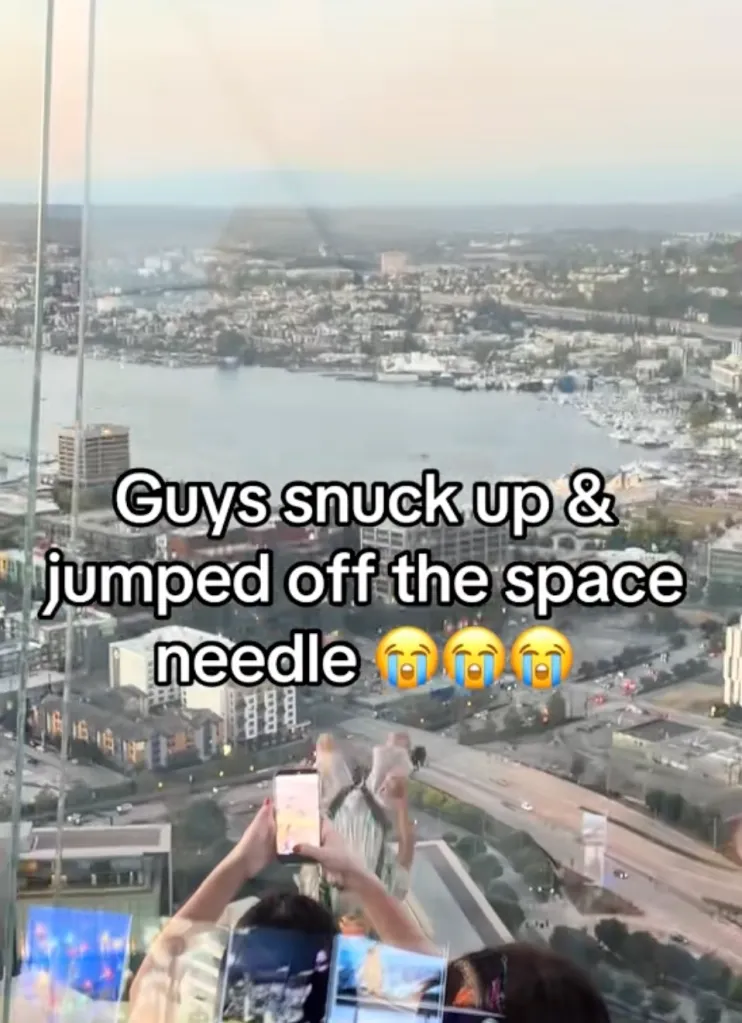 Overhead view of a city, harbor, and highway from a tall building, with a person holding a phone and text overlay.