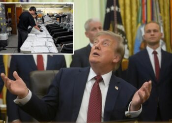 Federal appeals court rejects Trump bid to enforce mail ballot order ahead of midterm elections