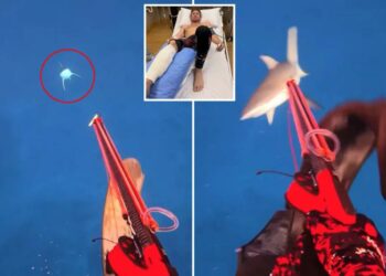 Influencer films shark almost biting off his leg —then shares amazing message about it