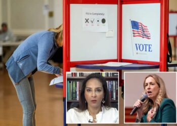 Sherrill knew voter-roll bombshell was coming when she called Trump a liar, DOJ official says: ‘Shame on you’