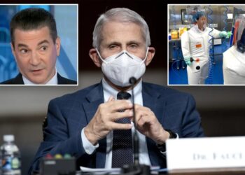 Ex-FDA commissioner confronted on ‘outrageous’ Fauci diaries by CNBC host
