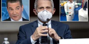 Ex-FDA commissioner confronted on ‘outrageous’ Fauci diaries by CNBC host