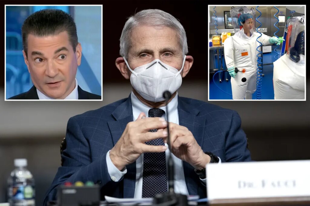 Ex-FDA commissioner confronted on ‘outrageous’ Fauci diaries by CNBC host