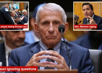 The 5 most shocking moments from Anthony Fauci’s Senate COVIID testimony
