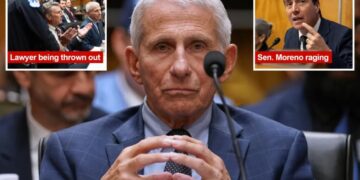 The 5 most shocking moments from Anthony Fauci’s Senate COVIID testimony
