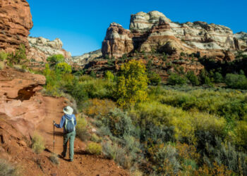 Trump Sharply Cuts the Size of Two National Monuments in Utah