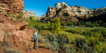 Trump Sharply Cuts the Size of Two National Monuments in Utah