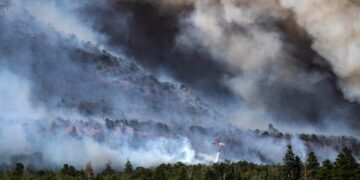 Helicopter Pilot Dies While Fighting Wildfire in Western Colorado