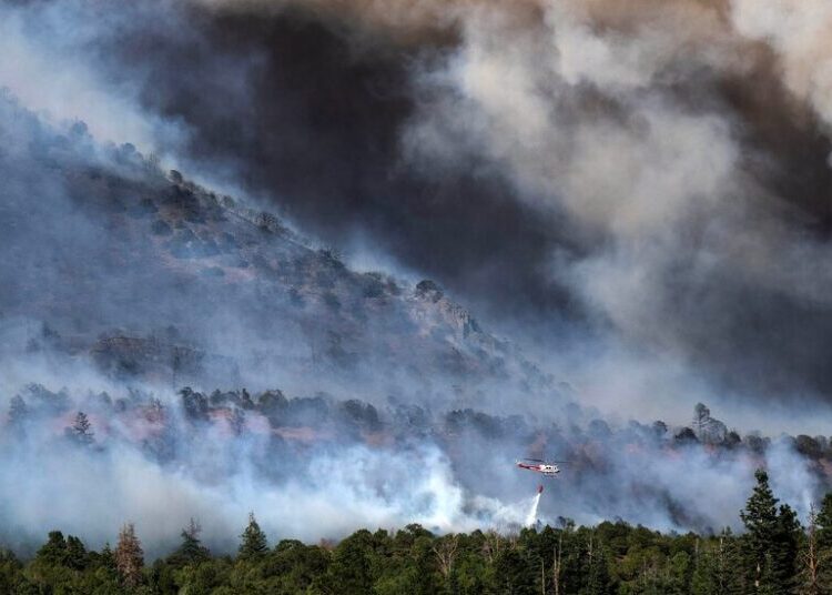Helicopter Pilot Dies While Fighting Wildfire in Western Colorado