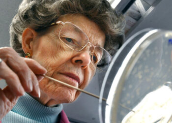 Mary-Dell Chilton Dies at 87; Helped Create First Genetically Modified Plant