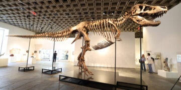T. Rex Fossil Sells for $50.1 Million, Putting the King Back On Top