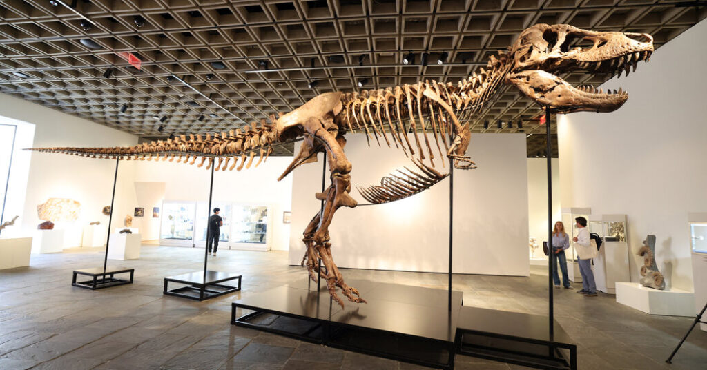 T. Rex Fossil Sells for $50.1 Million, Putting the King Back On Top