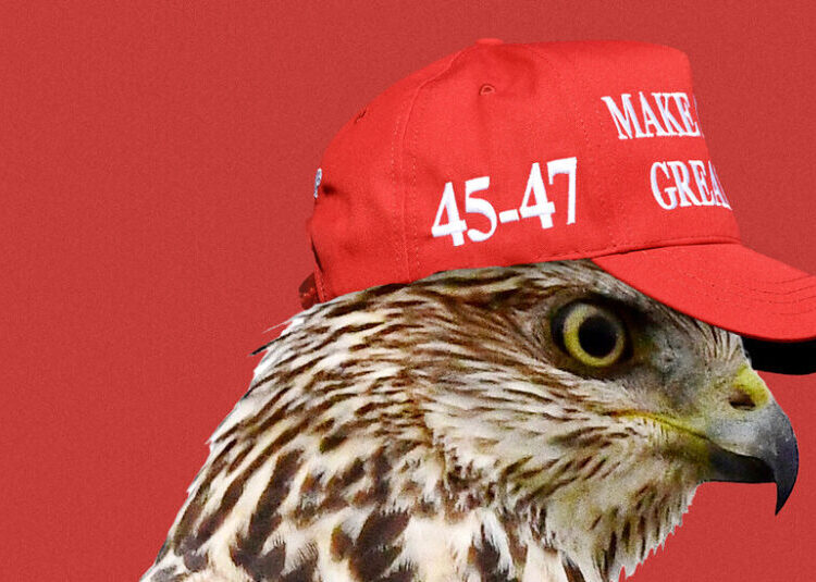 Lindsey Graham Made Trumpism in His Own Image