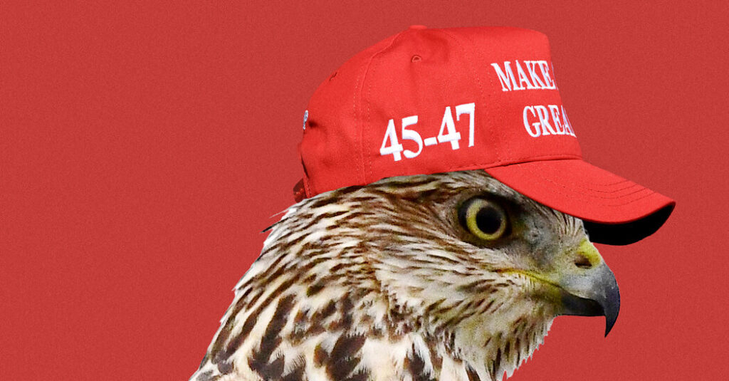 Lindsey Graham Made Trumpism in His Own Image