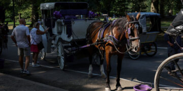 N.Y.C. Council Speaker Backs Ban on Horse-Drawn Carriages