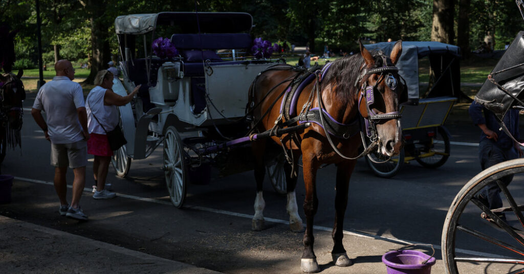 N.Y.C. Council Speaker Backs Ban on Horse-Drawn Carriages