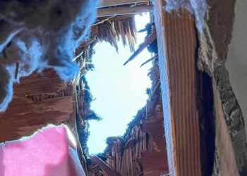 It’s a Treasure to Science. Too Bad It Came Through Their Roof.