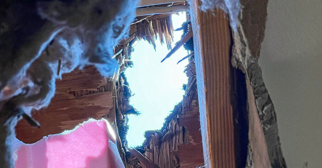 It’s a Treasure to Science. Too Bad It Came Through Their Roof.