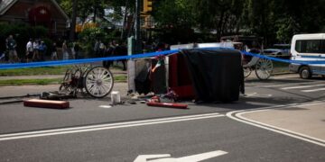 Parents of Teen Killed During Horse Carriage Ride Plead for a Ban