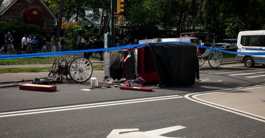 Parents of Teen Killed During Horse Carriage Ride Plead for a Ban