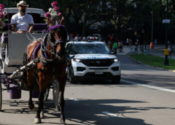 Could This Be the End of Carriage Horse Rides in Central Park?