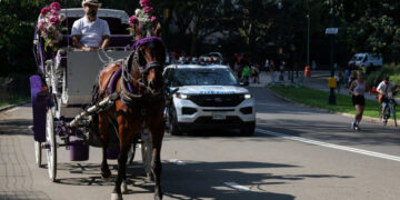Could This Be the End of Carriage Horse Rides in Central Park?