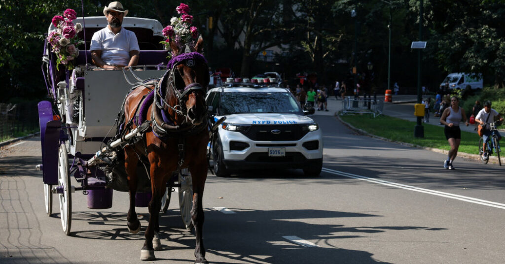 Could This Be the End of Carriage Horse Rides in Central Park?