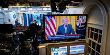 A Trump Obsession That Carries a Cost for Democracy