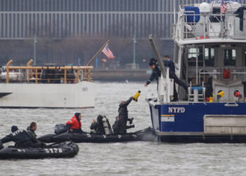 Tourist Helicopter Struck Geese Before Crashing in Hudson River, Documents Show