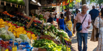 New Yorkers Get Squeamish About Salad Lunches Amid Parasite Outbreak