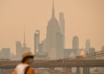 Air Pollution From Wildfire Smoke Set Records for Many, Analysis Shows